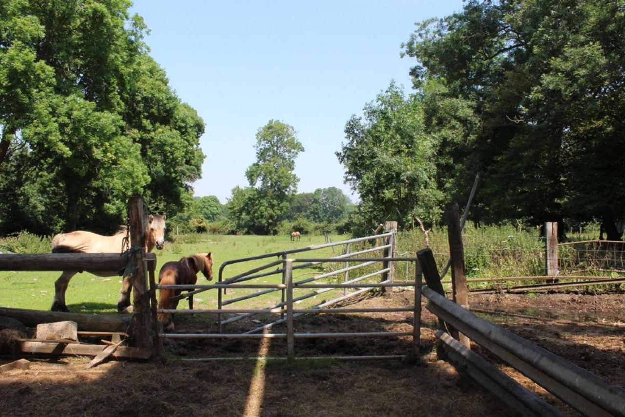 فيلا La Ferme De La Croix Saint-Quentin-Lamotte-Croix-au-Bailly المظهر الخارجي الصورة